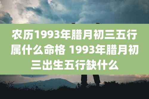 农历1993年腊月初三五行属什么命格 1993年腊月初三出生五行缺什么