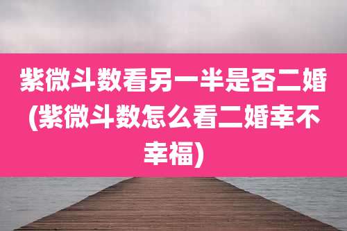 紫微斗数看另一半是否二婚(紫微斗数怎么看二婚幸不幸福)