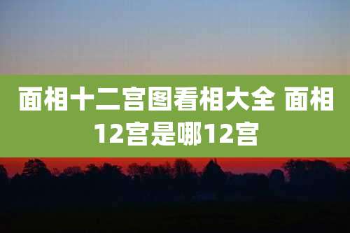 面相十二宫图看相大全 面相12宫是哪12宫