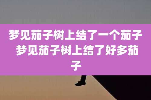 梦见茄子树上结了一个茄子 梦见茄子树上结了好多茄子