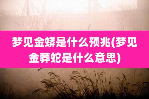 梦见金蟒是什么预兆(梦见金莽蛇是什么意思)