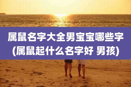 属鼠名字大全男宝宝哪些字(属鼠起什么名字好 男孩)