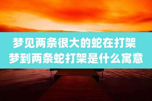 梦见两条很大的蛇在打架 梦到两条蛇打架是什么寓意
