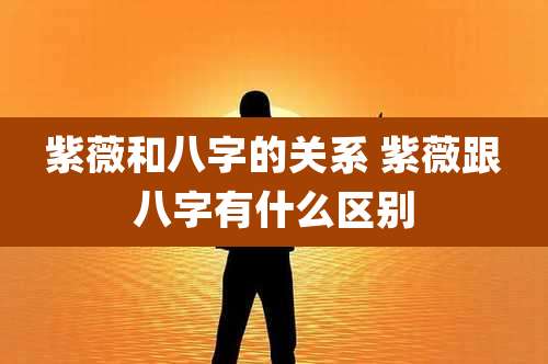 紫薇和八字的关系 紫薇跟八字有什么区别