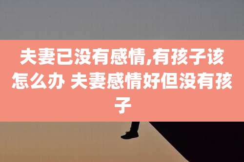 夫妻已没有感情,有孩子该怎么办 夫妻感情好但没有孩子