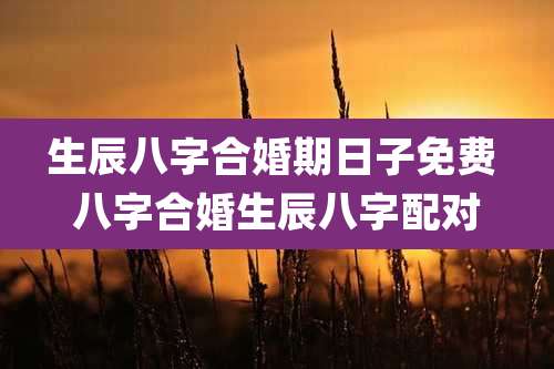 生辰八字合婚期日子免费 八字合婚生辰八字配对