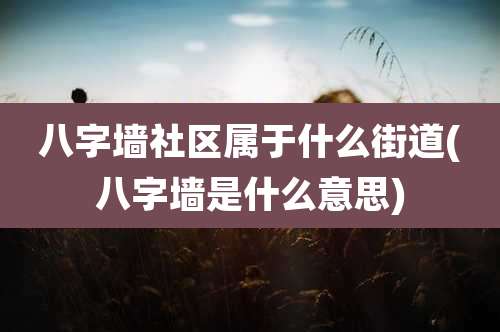 八字墙社区属于什么街道(八字墙是什么意思)
