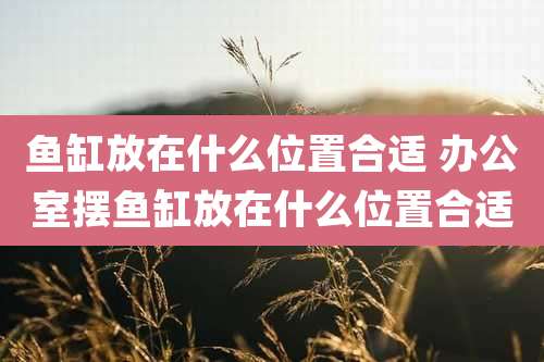 鱼缸放在什么位置合适 办公室摆鱼缸放在什么位置合适