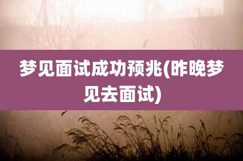梦见面试成功预兆(昨晚梦见去面试)