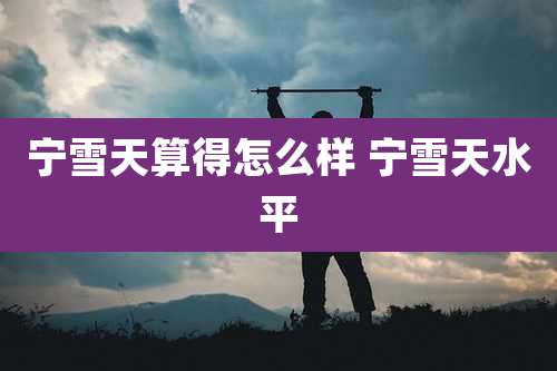 宁雪天算得怎么样 宁雪天水平