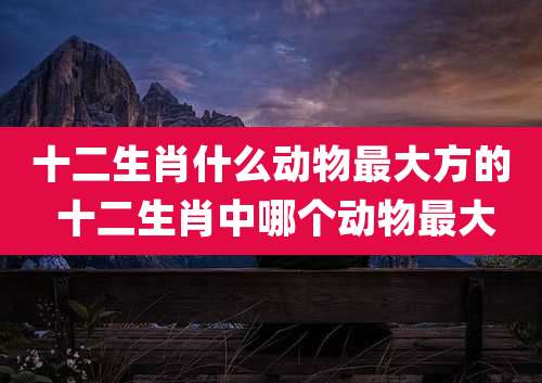 十二生肖什么动物最大方的 十二生肖中哪个动物最大
