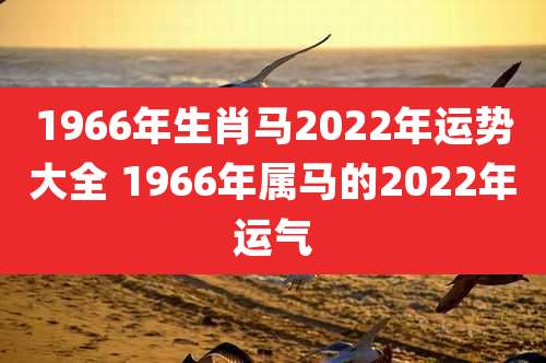 1966年生肖马2022年运势大全 1966年属马的2022年运气