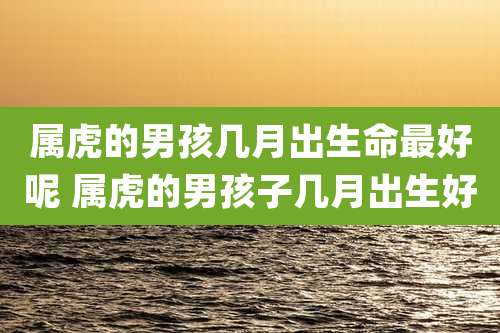 属虎的男孩几月出生命最好呢 属虎的男孩子几月出生好
