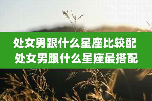 处女男跟什么星座比较配 处女男跟什么星座最搭配