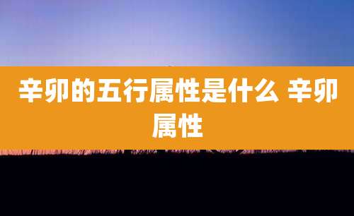 辛卯的五行属性是什么 辛卯属性