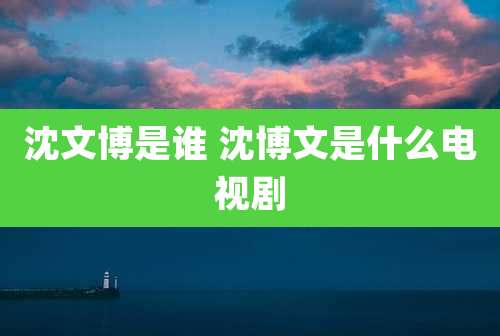 沈文博是谁 沈博文是什么电视剧