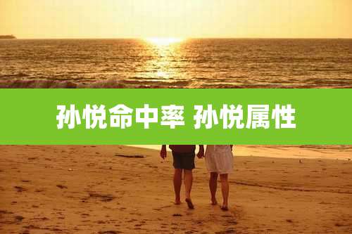 孙悦命中率 孙悦属性