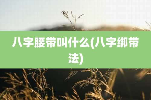 八字腰带叫什么(八字绑带法)