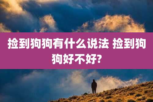 捡到狗狗有什么说法 捡到狗狗好不好?