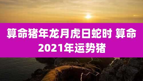 算命猪年龙月虎日蛇时 算命2021年运势猪
