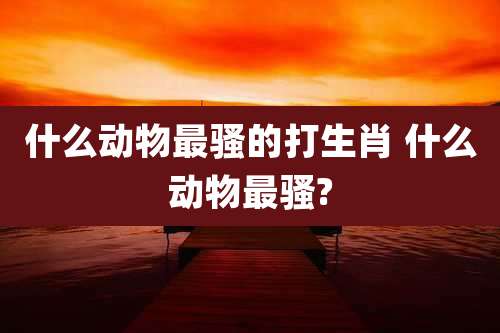 什么动物最骚的打生肖 什么动物最骚?