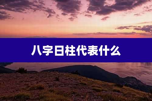 八字日柱代表什么