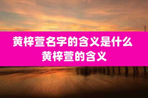 黄梓萱名字的含义是什么 黄梓萱的含义