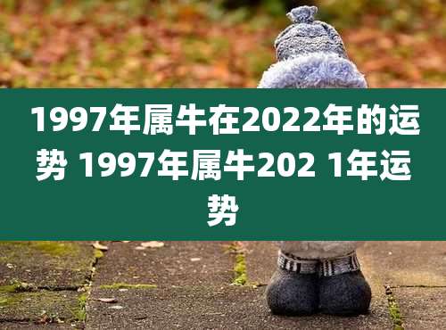 1997年属牛在2022年的运势 1997年属牛202 1年运势