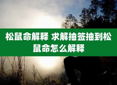 松鼠命解释 求解抽签抽到松鼠命怎么解释