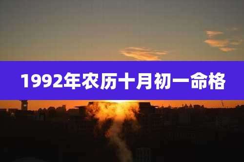 1992年农历十月初一命格