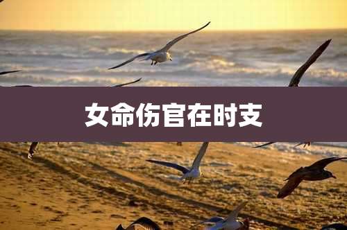 女命伤官在时支