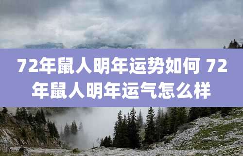 72年鼠人明年运势如何 72年鼠人明年运气怎么样