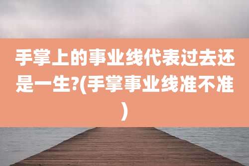 手掌上的事业线代表过去还是一生?(手掌事业线准不准)