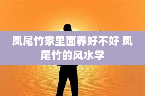 凤尾竹家里面养好不好 凤尾竹的风水学