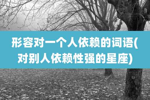 形容对一个人依赖的词语(对别人依赖性强的星座)