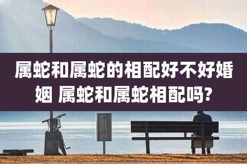 属蛇和属蛇的相配好不好婚姻 属蛇和属蛇相配吗?