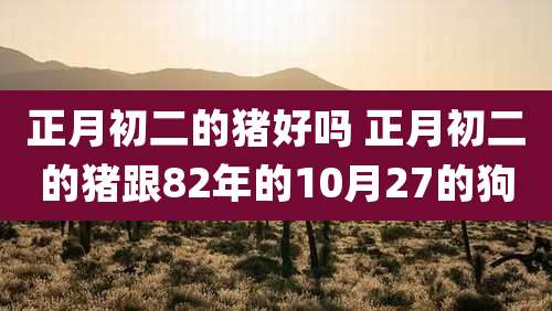 正月初二的猪好吗 正月初二的猪跟82年的10月27的狗