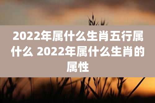 2022年属什么生肖五行属什么 2022年属什么生肖的属性