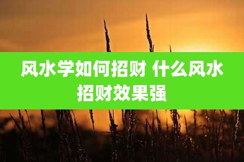 风水学如何招财 什么风水招财效果强