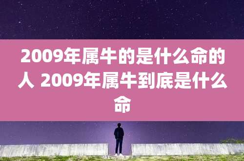 2009年属牛的是什么命的人 2009年属牛到底是什么命