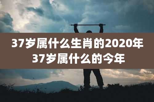 37岁属什么生肖的2020年 37岁属什么的今年