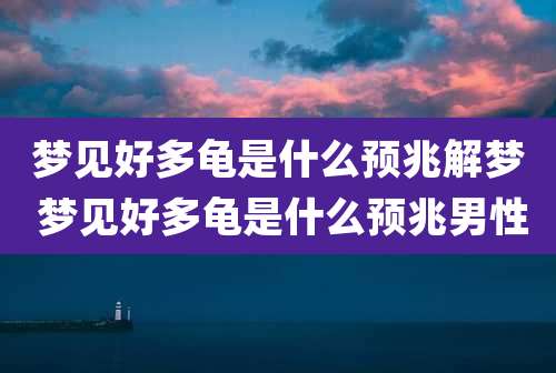 梦见好多龟是什么预兆解梦 梦见好多龟是什么预兆男性