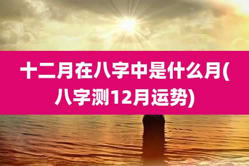 十二月在八字中是什么月(八字测12月运势)