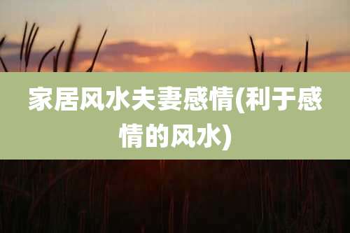 家居风水夫妻感情(利于感情的风水)