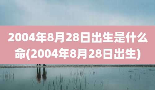 2004年8月28日出生是什么命(2004年8月28日出生)