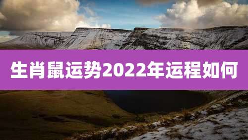 生肖鼠运势2022年运程如何