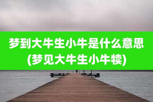 梦到大牛生小牛是什么意思(梦见大牛生小牛犊)