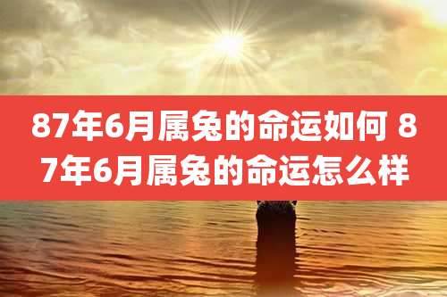 87年6月属兔的命运如何 87年6月属兔的命运怎么样