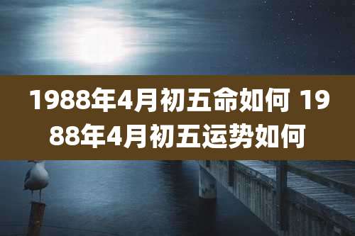 1988年4月初五命如何 1988年4月初五运势如何
