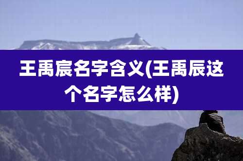 王禹宸名字含义(王禹辰这个名字怎么样)